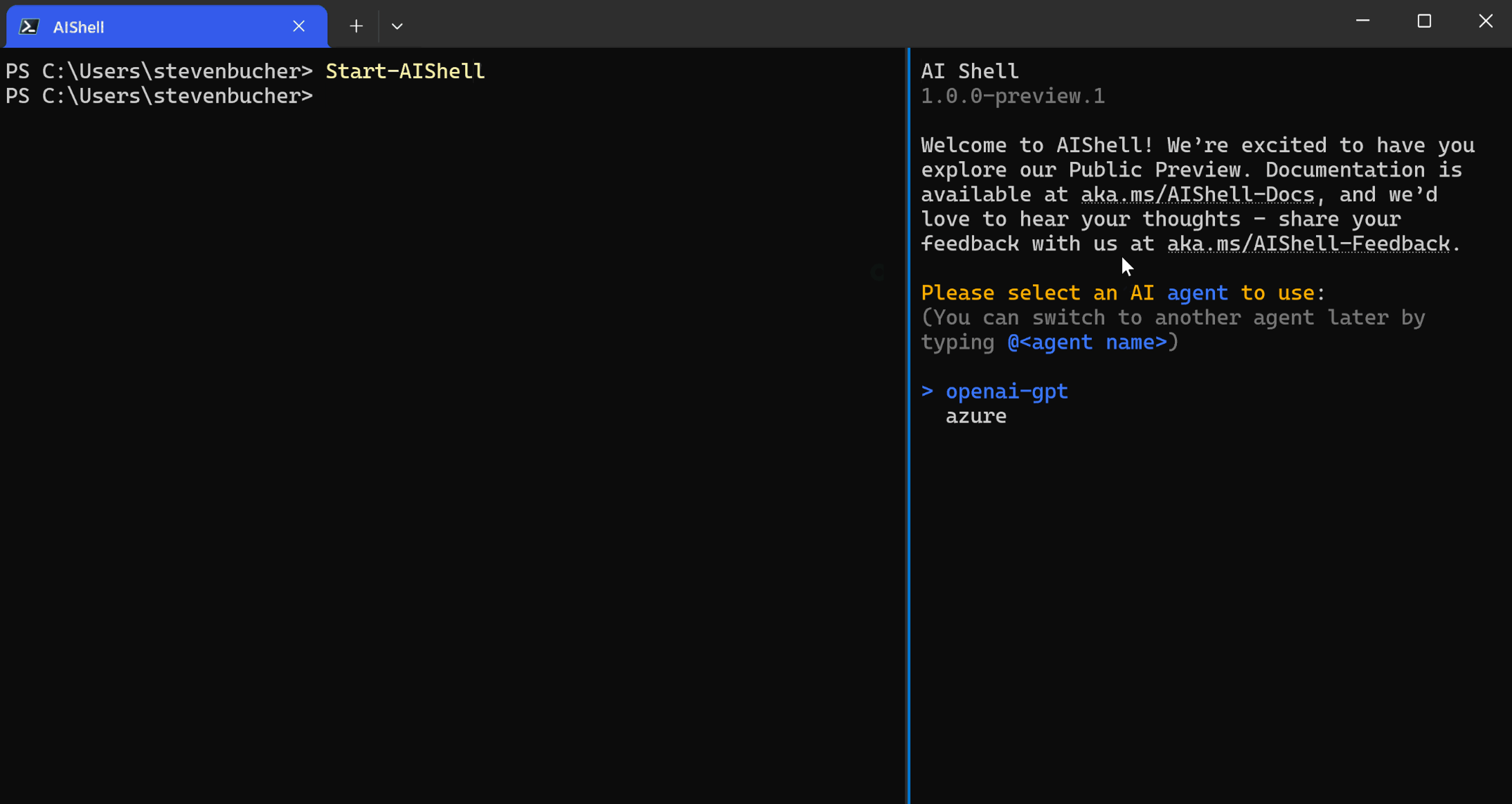 AI Shell interface showing side panel with contextual information alongside main terminal
